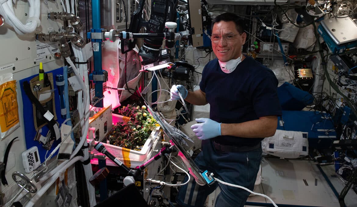 The Mystery of the Lost Tomato on the ISS Finally Solved!